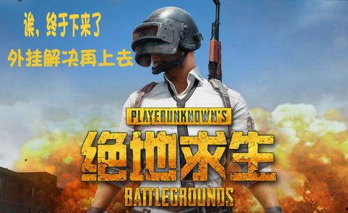 沉浸式吃鸡瓜群众,瓜群众眼中的吃鸡世界揭秘