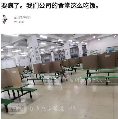 自由吃瓜小组基地,揭秘网络舆论场的“瓜田”盛景