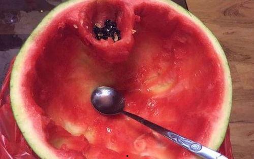 怀孕可以吃儿瓜,儿瓜助力母婴健康