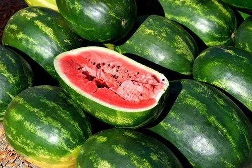 最新鲜的吃瓜,揭秘娱乐圈最新鲜的瓜料大揭秘