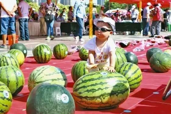 五八吃瓜王,揭秘网络舆论场的风云变幻