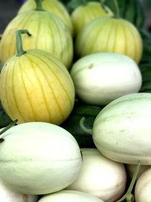 吃瓜赏美,品味生活，畅享视觉盛宴