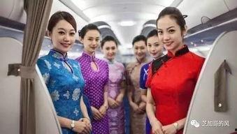 吃瓜热门空姐小说,空姐的甜蜜诱惑