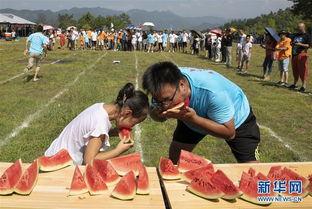 吃瓜安徽黄山县,吃瓜之余，品味历史与现代交融之美
