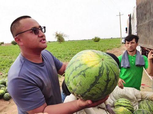 乌鲁木齐吃瓜新闻