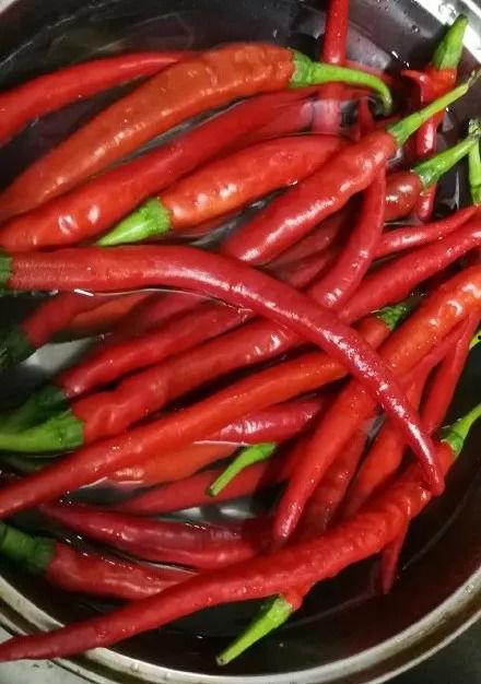 威信县吃瓜,探寻瓜果飘香的田园生活