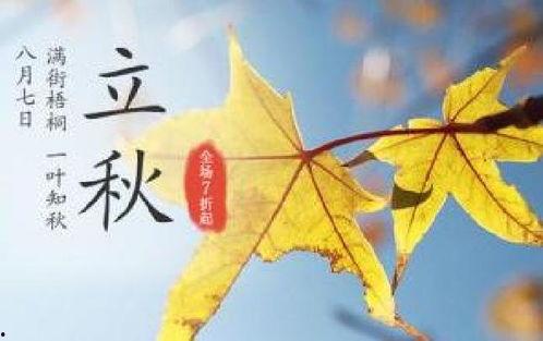 立秋吃瓜标题,品味瓜果飘香，尽享丰收喜悦