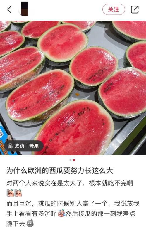 海外什么平台吃瓜