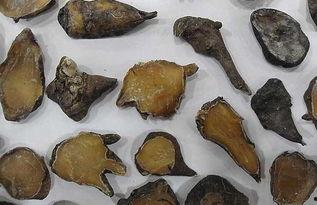 孕妇吃附子瓜吗,孕妇慎食附子瓜