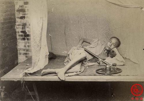 穿书晚清吃瓜流水,穿书吃瓜者的宫廷秘闻录