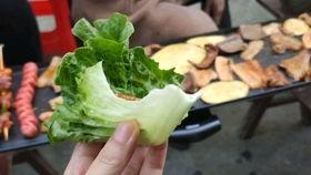 开心外婆吃瓜,开心外婆的夏日吃瓜日记