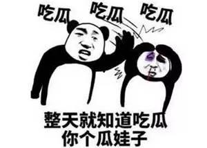 备考cpa夏天吃瓜,轻松解暑吃瓜指南