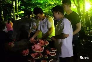 沈阳学院吃瓜事件,校园风波背后的真相揭晓