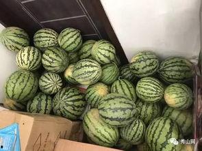 介休吃瓜视频环环,环环相扣的趣味追踪