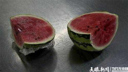 细菌大王吃瓜,揭秘微生物界的“吃瓜”传奇