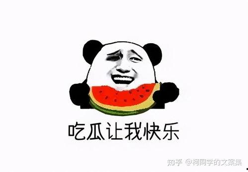 吃瓜没有吃干净文案短句,回味无穷