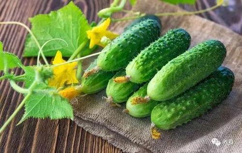 天热吃大瓜,畅享清凉大瓜盛宴