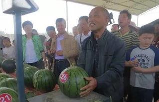 内黄吃瓜男女,揭秘网络热议背后的真相