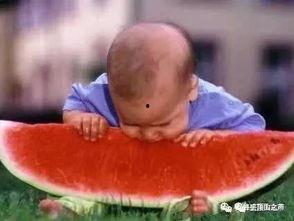 吃瓜的老鹰,揭秘娱乐圈幕后真相