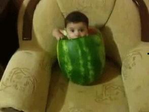 吃半个瓜照片姿势大全,揭秘半个瓜照片的百变姿势大全