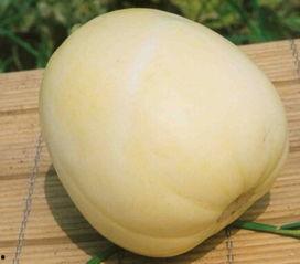 肾结石吃梨瓜,天然食疗新选择