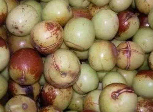 歪把瓜怎么吃,歪把瓜的独特吃法揭秘